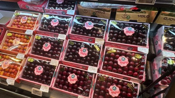 超50万吨车厘子涌入中国，价钱大跳水